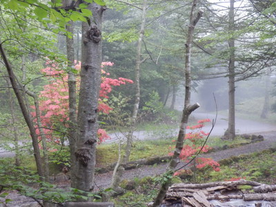 b0126549_1703127.jpg