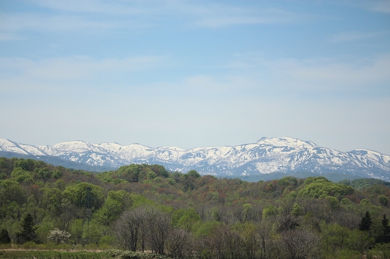b0250154_06140566.jpg