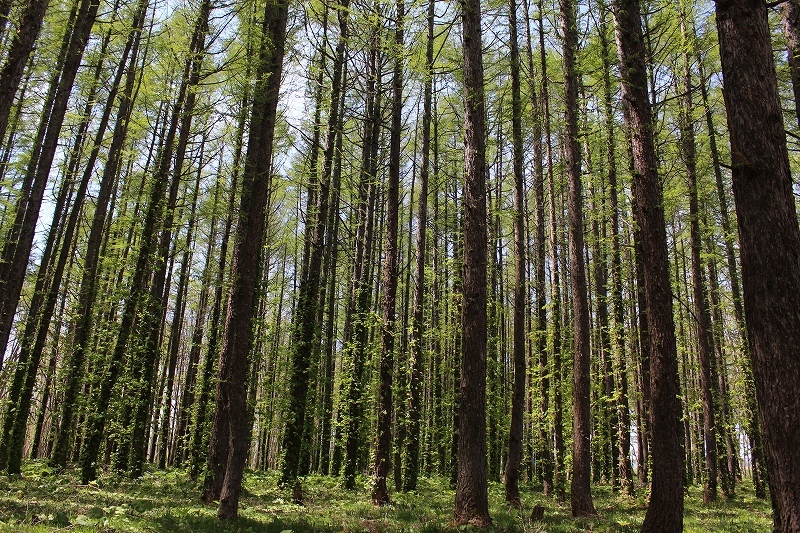 b0250154_06150377.jpg