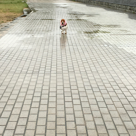 c0170957_1155490.jpg