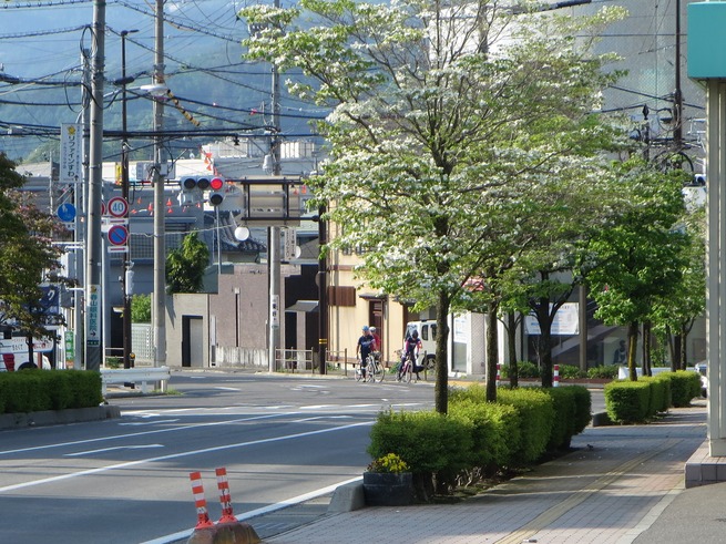 c0214259_2317297.jpg
