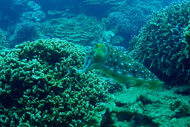 b0062363_19525610.jpg