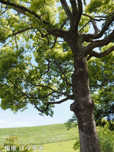 e0346064_15302614.gif