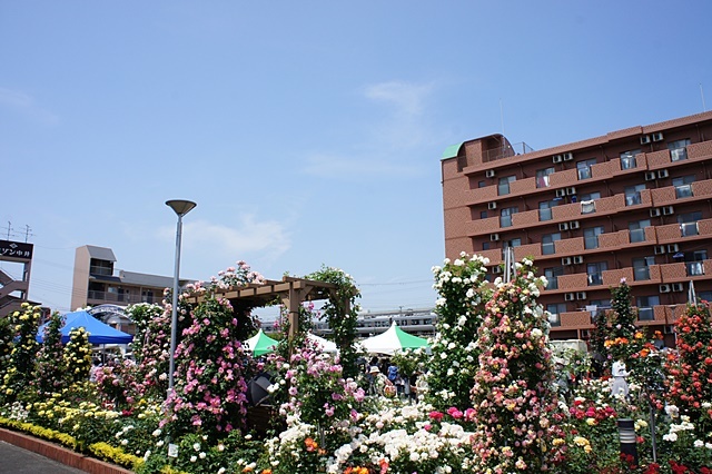 e0177271_07434852.jpg