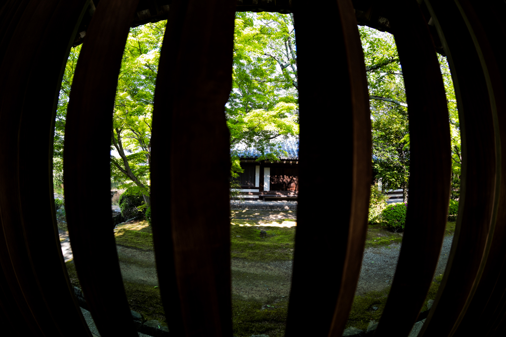 b0247073_2222142.jpg
