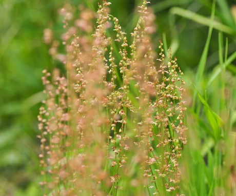 e0264374_12223002.jpg