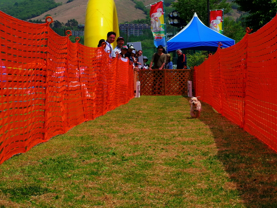 a0267178_8265687.jpg