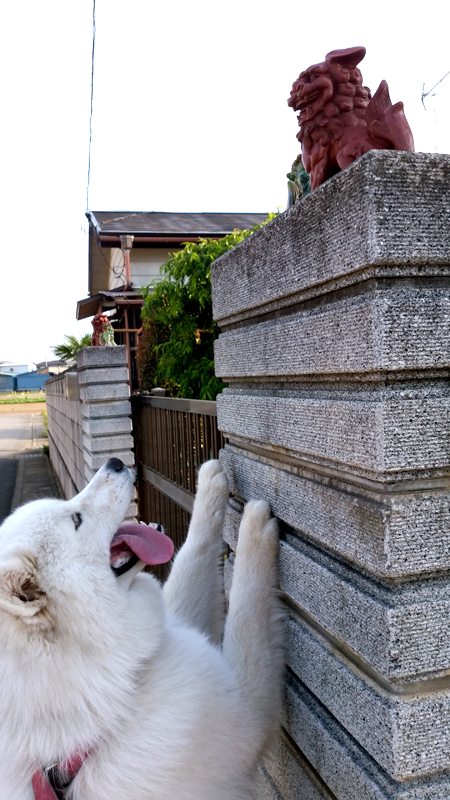 c0064678_1203264.jpg