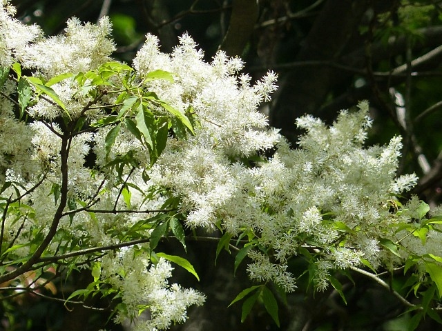 f0357487_21141669.jpg