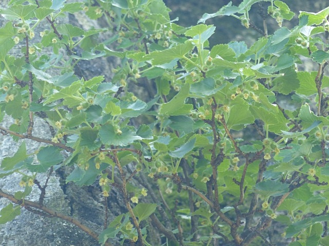 f0357487_21173374.jpg