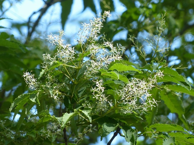 f0357487_21391551.jpg