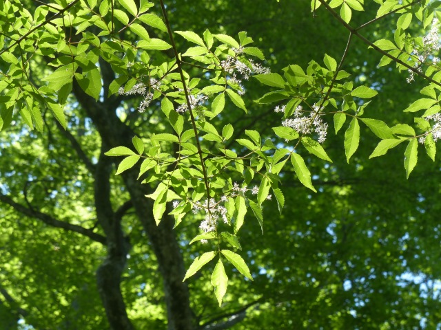 f0357487_21415598.jpg