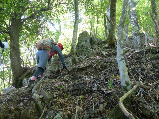 f0357487_21431065.jpg