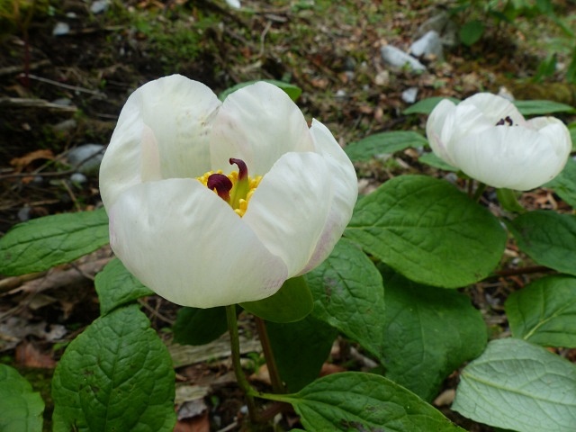 f0357487_2155314.jpg