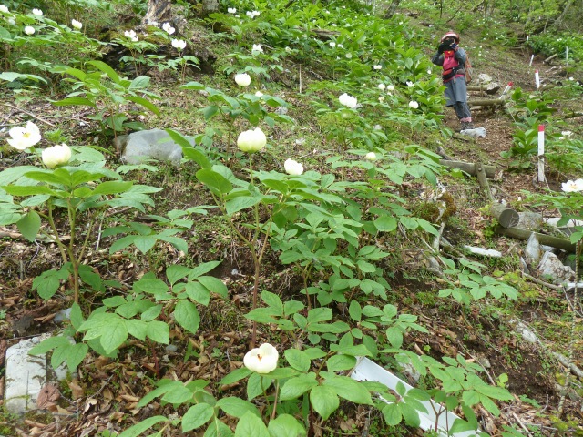 f0357487_21562491.jpg