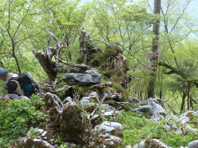 f0357487_2203832.jpg