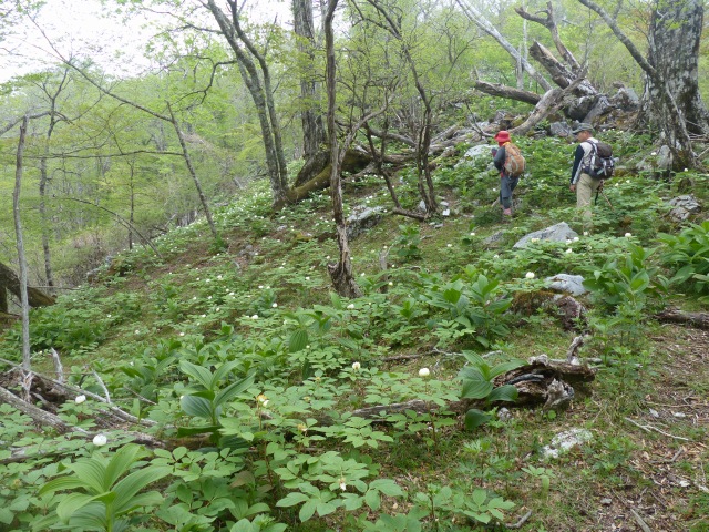 f0357487_22173838.jpg