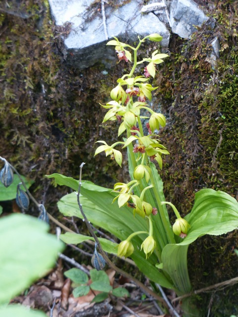 f0357487_22194028.jpg