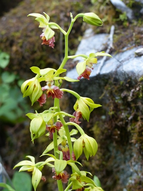 f0357487_2220268.jpg