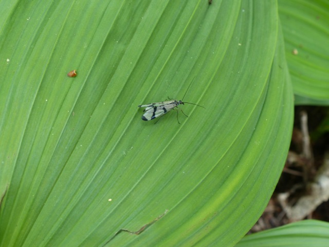 f0357487_22204122.jpg