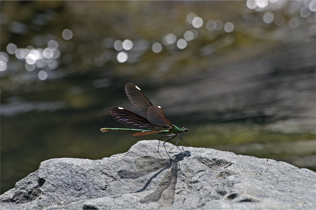 d0209988_22391.jpg