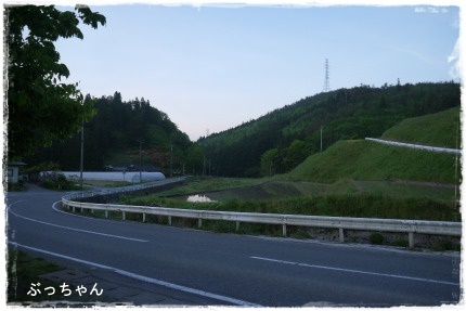 f0353990_16501087.jpg