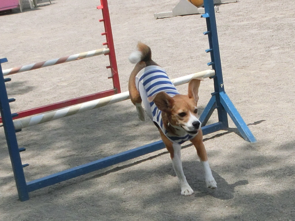 a0319693_7451856.jpg