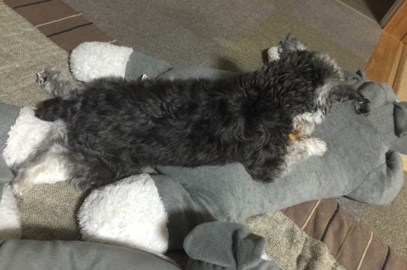 b0188998_22500836.jpeg