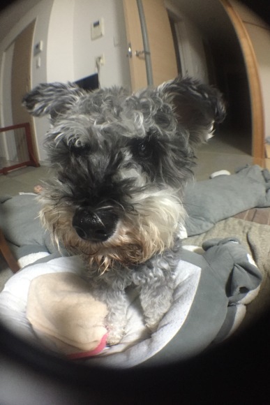 b0188998_22503533.jpeg