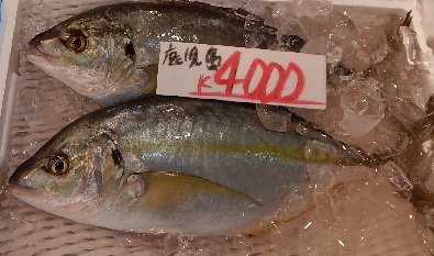 e0077899_8175537.jpg