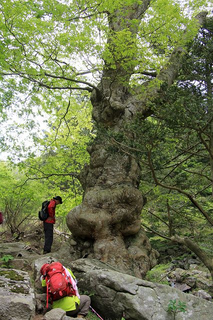 e0137200_2341699.jpg