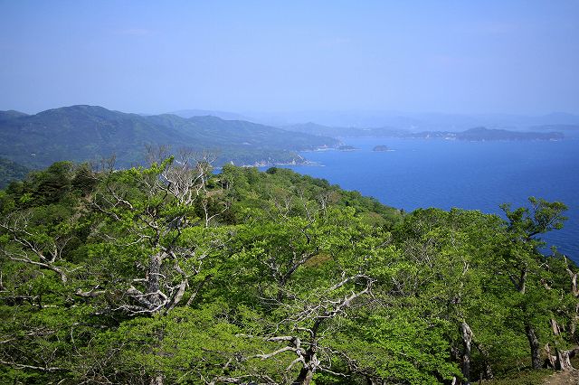 e0137200_2352920.jpg