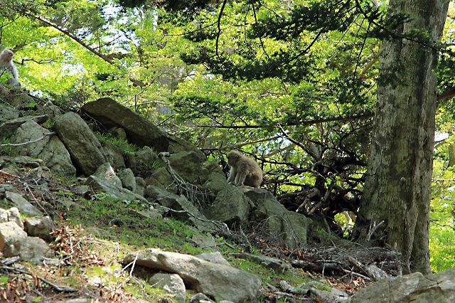 e0137200_2374064.jpg