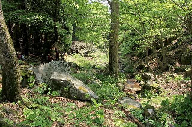 e0137200_23822.jpg