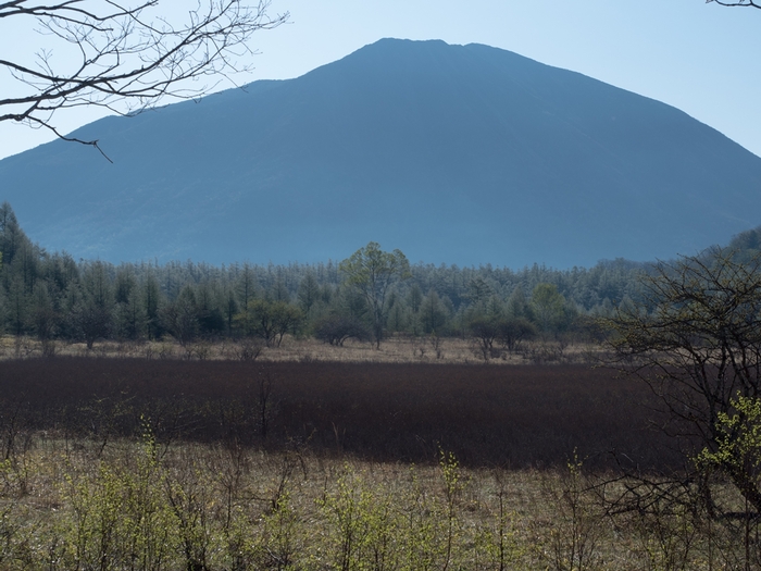f0224100_2122563.jpg