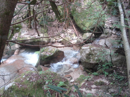 e0353802_11485539.jpg
