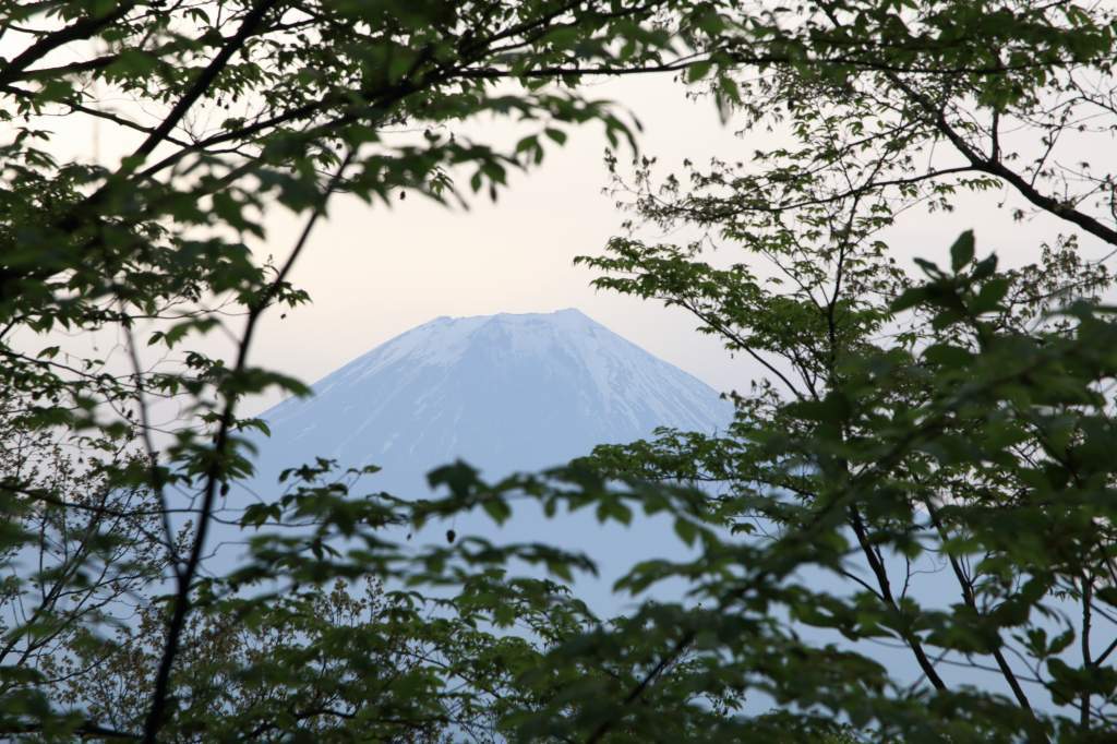 a0188405_21351382.jpg