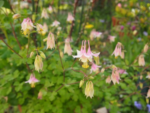 c0117007_22225354.jpg