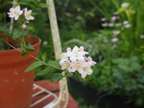 c0117007_22273456.jpg