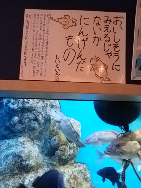 e0099212_532411.jpg
