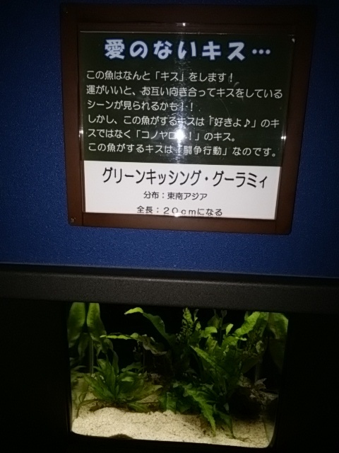 e0099212_5334349.jpg