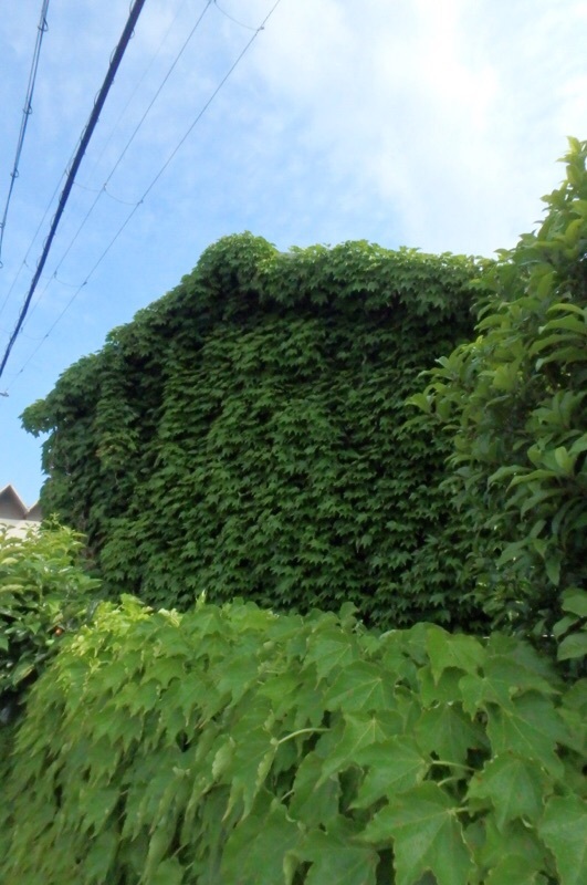 e0077517_15120471.jpeg