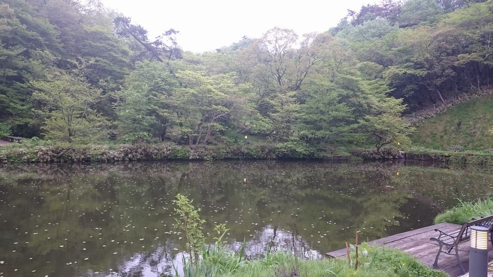 a0022024_0493137.jpg