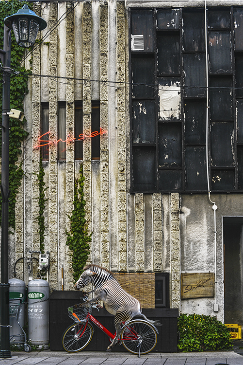 d0265224_20140678.jpg