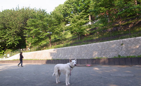 a0117039_094543.jpg