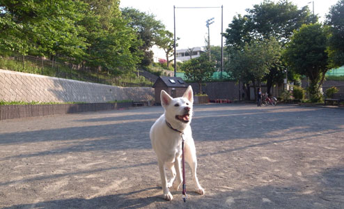 a0117039_095673.jpg