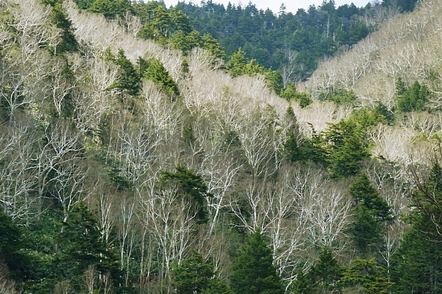 b0122448_21510598.jpg