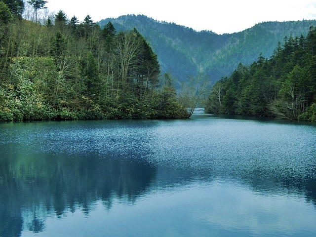 b0122448_22122524.jpg