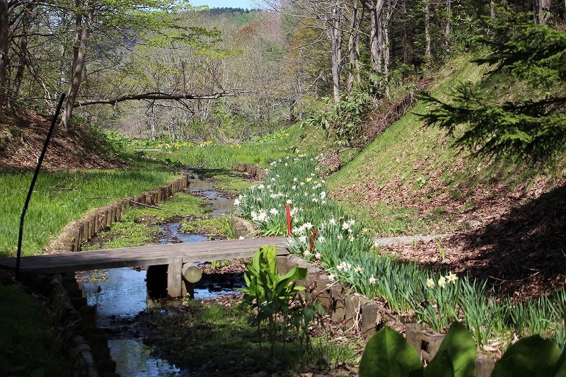 b0250154_20180955.jpg