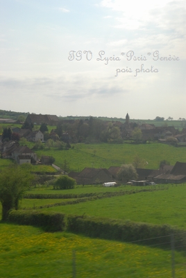 c0206758_1938257.jpg